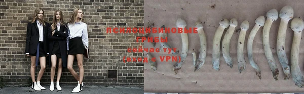 a pvp Абинск